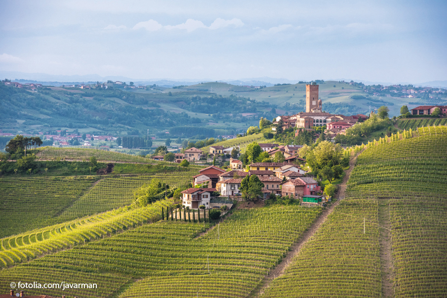 Panorama of Piedmont vineyards and Barbaresco town - Mondial Tours