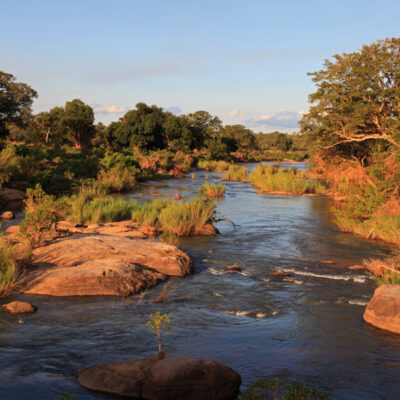 Krüger Nationalpark