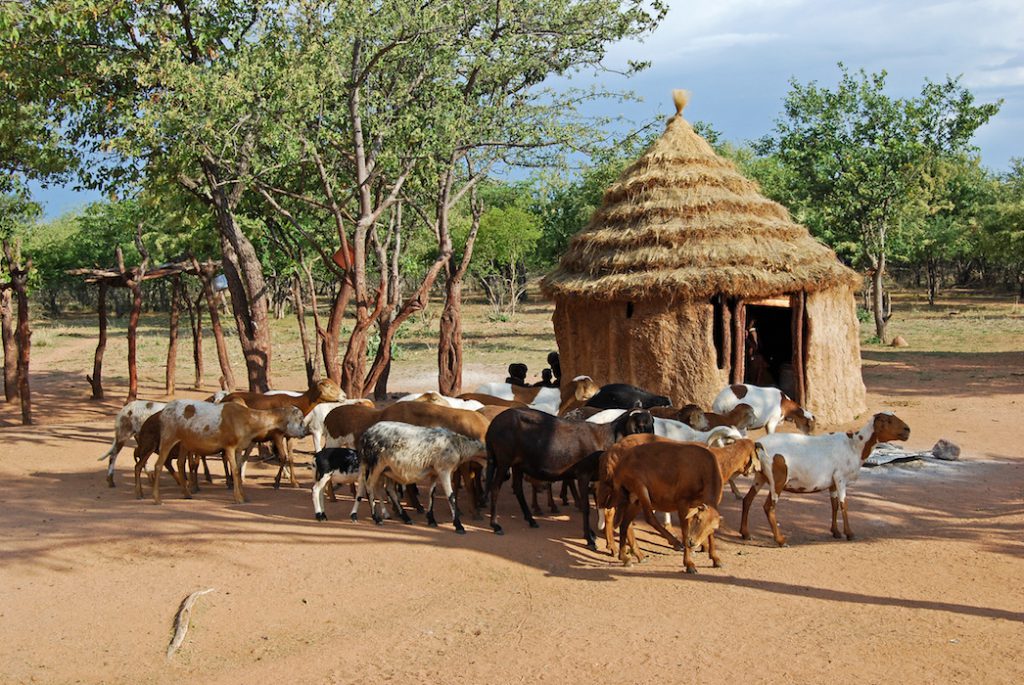 natuurlijk namibie
