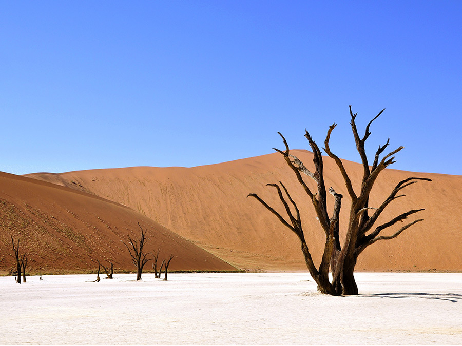 natuurlijk namibie